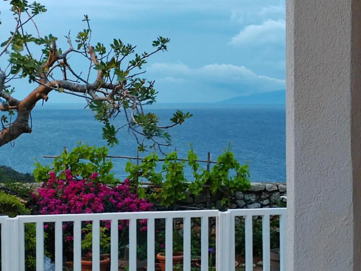 Apartments Giana Labin  0*, Labin (Istria)